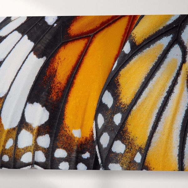 Farfalla Monarca africano stampa da arredo su ecopelle
