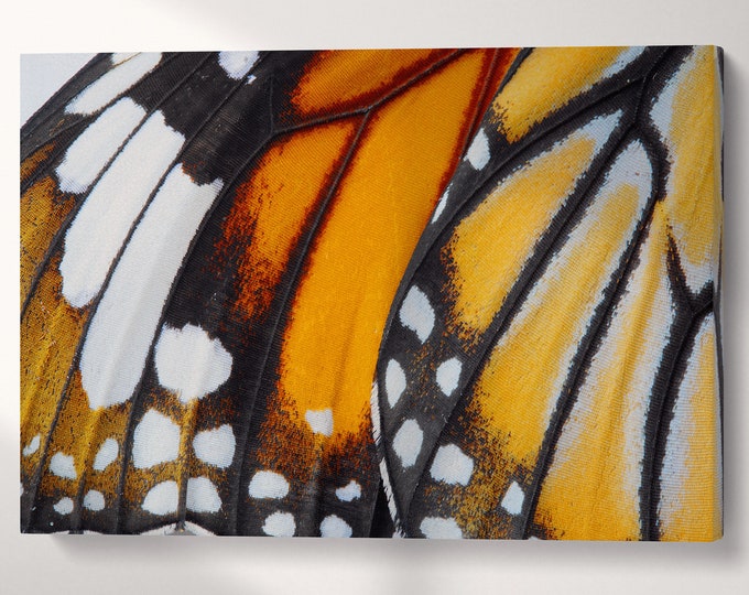 Danaus Chrysippus Butterfly Closeup Leather Print | Home Decor Print | Wall Art Print | Made in Italy!