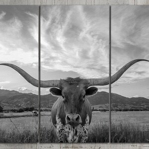 May include: A black and white photograph of a longhorn steer with large horns, standing in a field with a cloudy sky in the background.