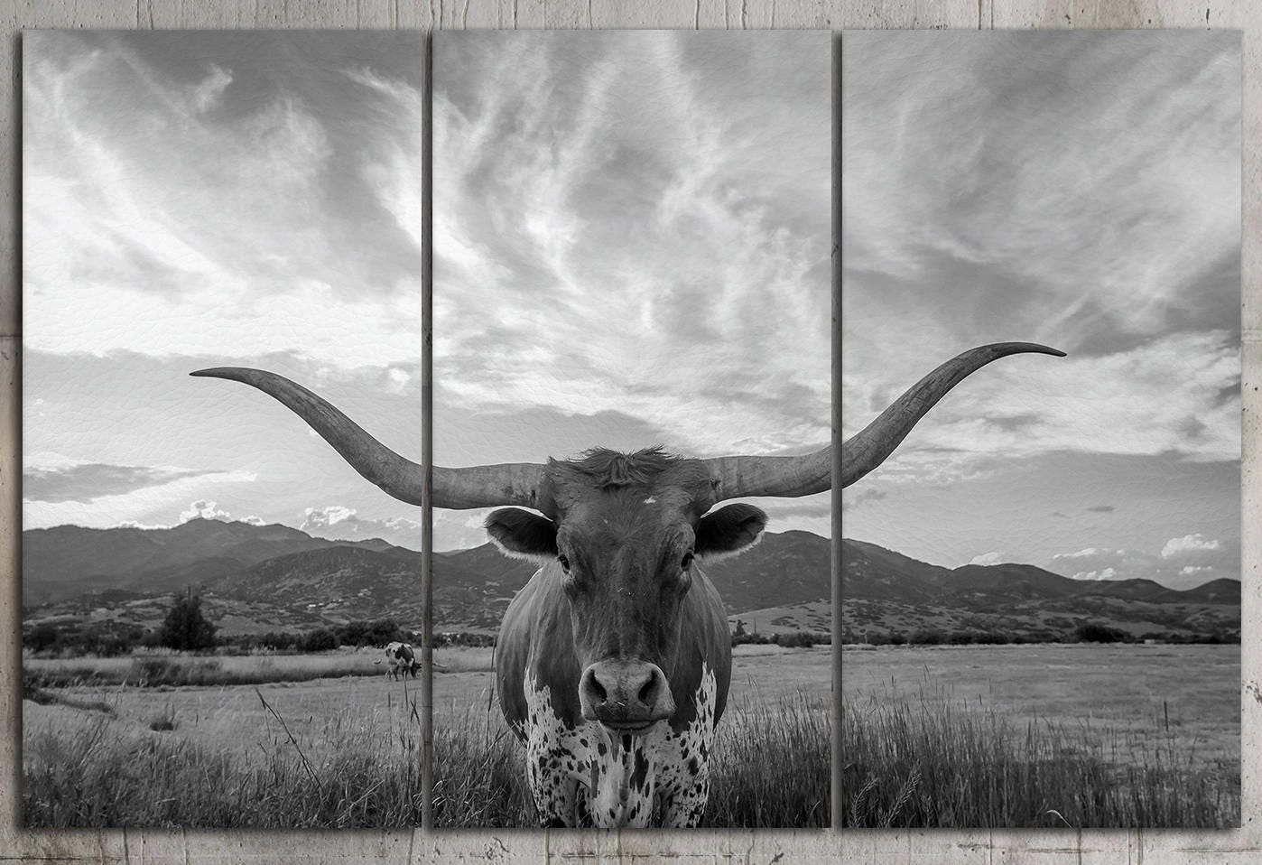 3 panel Texas longhorn steer black and white canvas
