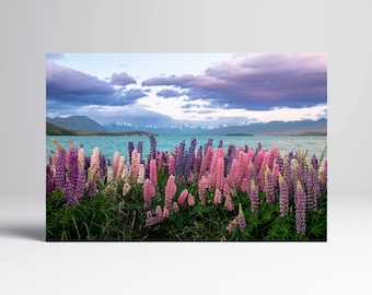 Lake Tekapo Lupin Print on PETA-Approved Vegan Leather, New Zealand Mountain Wall Art