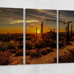 Sunset Arizona Desert Cactus Wall Art Eco Leather Canvas Print, Made in Italy!