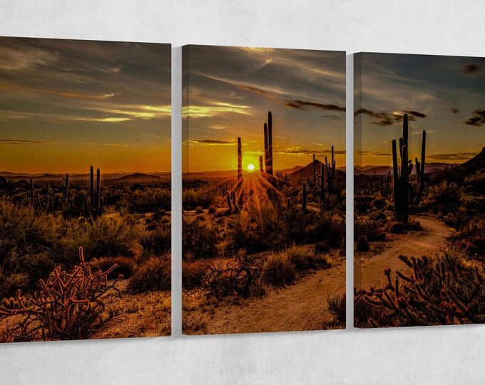 Sunset Arizona Desert Cactus Wall Art Eco Leather Canvas Print, Made in Italy!