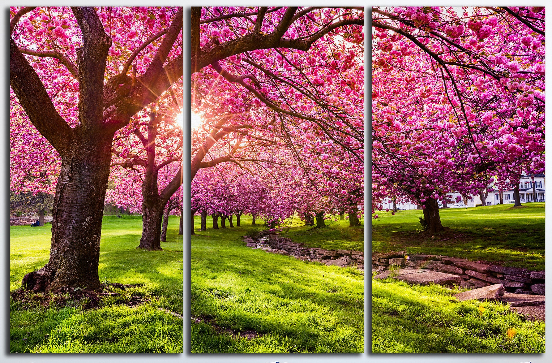 3 Panel Cherry Tree Blossom Leather Print/Nature Canvas/Large Wall Art ...