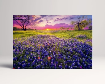 Texas Hill Country Dawn PETA Approved Eco Leather Canvas Multi Panel Wall Art