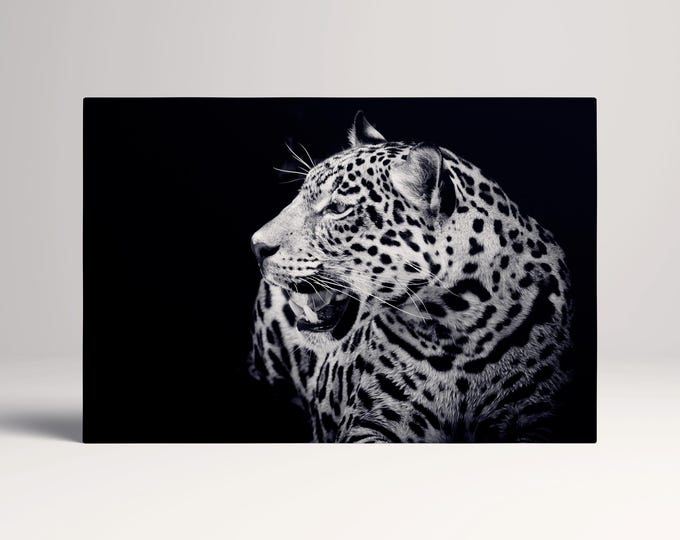 Close Up Black and White Jaguar Leather Print/Black and White Print/Large Wall Art/Large Wall Decor/Made in Italy/Better than Canvas!