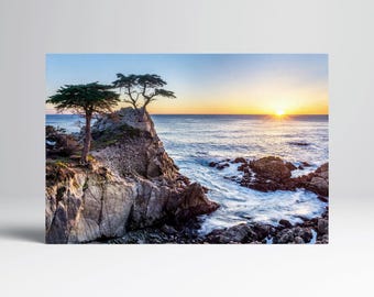 Lone Cypress Pebble Beach Eco Leather Wall Art Frame
