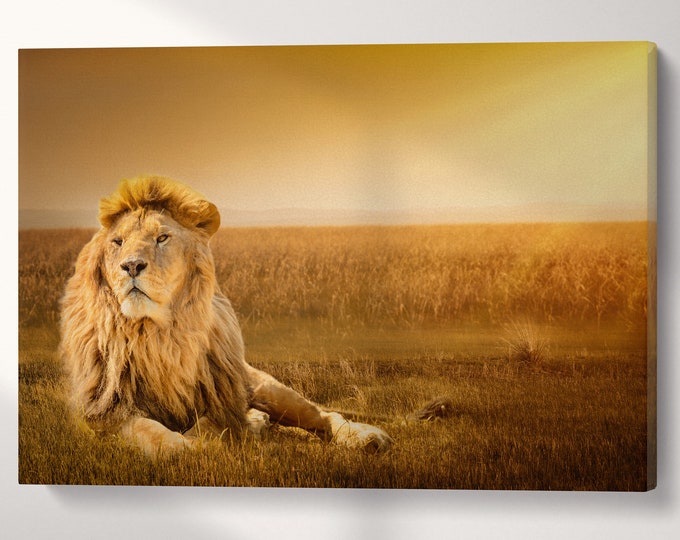 Lion in the grass artwork wall art canvas eco leather print, Made in Italy!