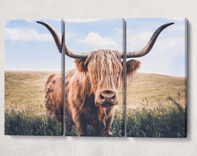 Close Up Brown Highland Cow Canvas Leather Print/Long-haired cattle print/Black and white print/Large wall art/Animal canvas/Made in Italy