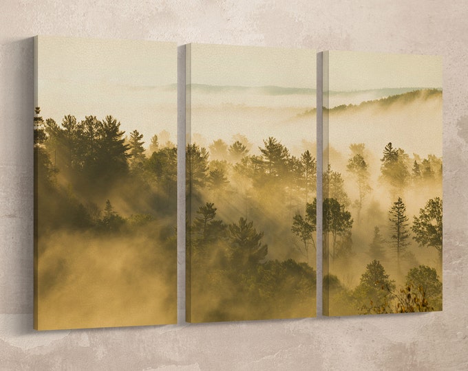 Aspen foggy landscape framed canvas leather print/Aspen Colorado print/Large wall art/Large wall decor/Made in Italy/Better than canvas!