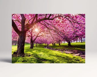 Cherry Tree Blossom Canvas Eco Leather Print, Made in Italy!