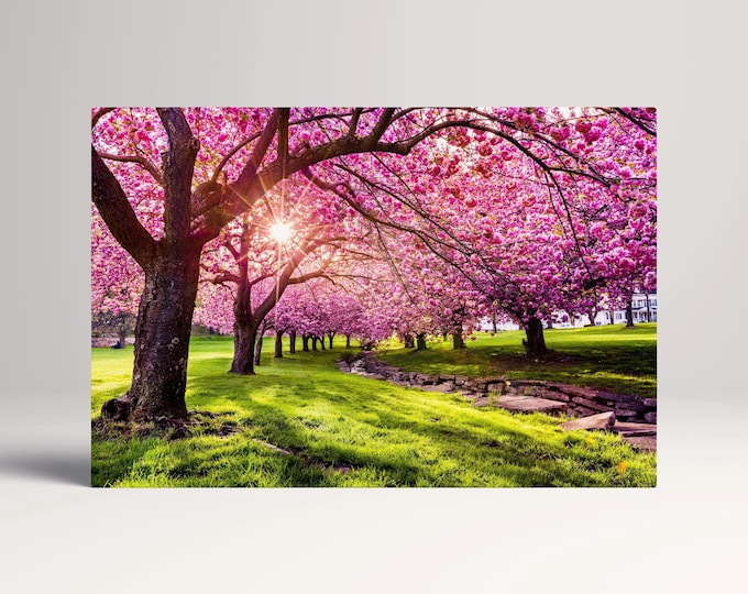 Cherry Tree Blossom Canvas Eco Leather Print, Made in Italy!
