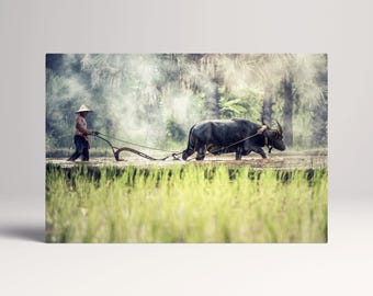 Water Buffalo Cambodia Farming PETA Approved Eco Leather Canvas Triptych or Single Art