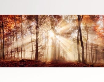 Autumn Forest Sunlight PETA Approved Eco Leather Canvas Nature Wall Art