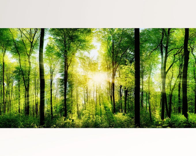 Sun In the Forest Eco Leather Print/Multi Panel Print/Extra Large Print/Nature Print/Better than Canvas!
