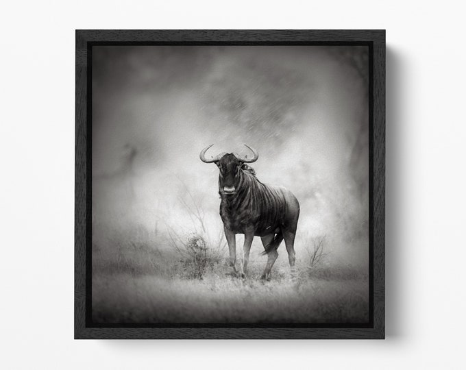 Blue Wildebeest in rainstorm canvas eco leather print wall art, Made in Italy!