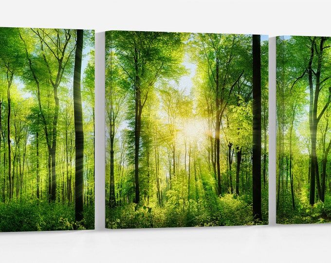 Sun In the Forest Leather Print/Multi Panel Print/Extra Large Print/Nature Print/Better than Canvas!