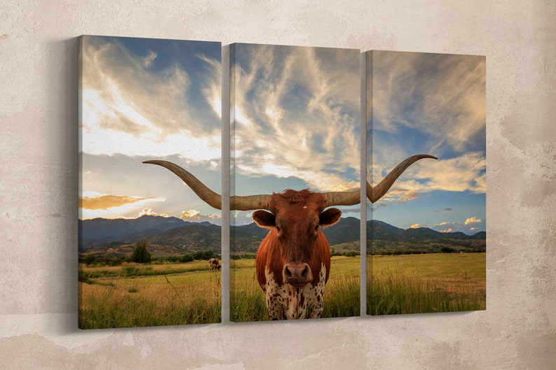 Texas longhorn steer 3 panel canvas wall art print