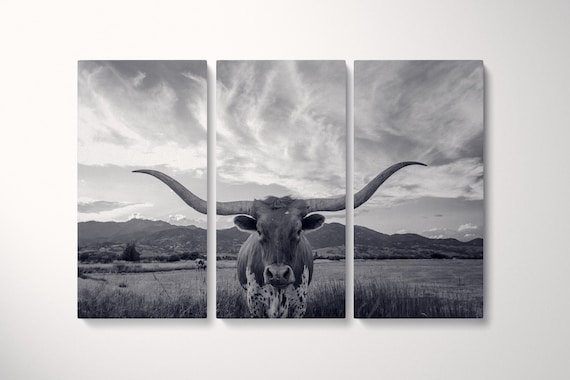 3 Panel Texas Longhorn Steer Black and White Framed Canvas Leather Print Cowboy Gift