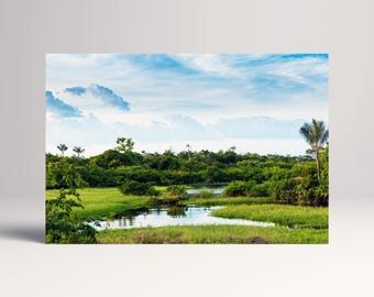 Amazon Wetland Rainforest Nature PETA Approved Eco Leather Multi Panel Wall Art