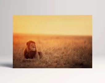 Golden Majesty Lion Sunset PETA Approved Faux Leather Wall Art