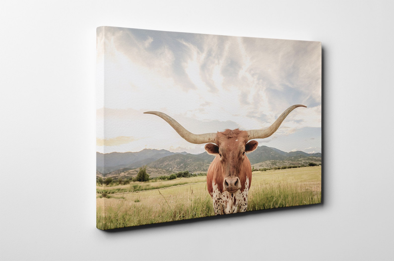 Texas Longhorn Steer Framed Canvas Leather Print/large Wall Etsy