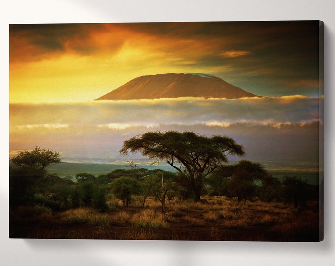 Mount Kilimanjaro Canvas Eco Leather Print, Made in Italy!
