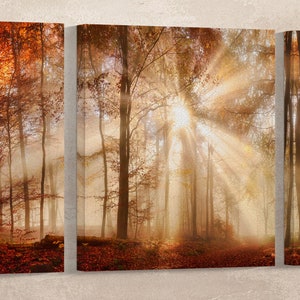 Rays of Sunlight in a Misty Autumn Forest Framed Canvas Leather Print ...