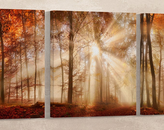 Rays of sunlight in a misty autumn forest framed canvas leather print/Large wall art/Autumn forest print/Made in Italy/Better than canvas!