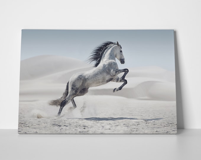 Wild white horse in dust leather print/Wall Art/Horse Print/Wall Decor/Animal Print/Multi Panel Print/Made in Italy/Better than Canvas!