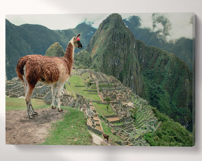 Machu Picchu Alpaca Canvas Leather Print/Cuzco Peru/Large Wall Art/Large Wall Decor/3 Panel Wall Art/Made in Italy/Better than Canvas!