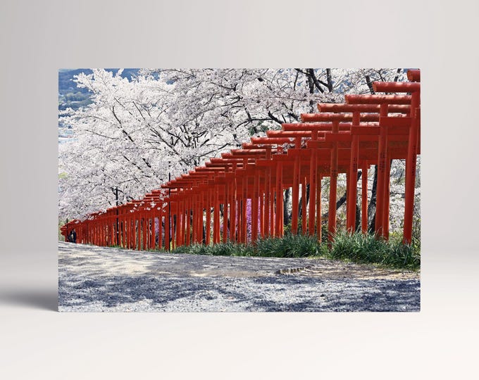 Torii gates shrine cherry blossom, Japan canvas eco leather print