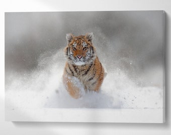 Snow Tiger Majesty PETA Approved Faux Leather Canvas Wall Art