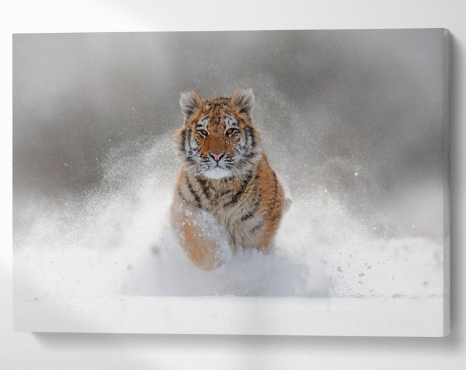 Tiger in the snow leather print/Large wall art/Tiger canvas/Tiger wall art/Multi panel print/Made in Italy/Better than canvas!