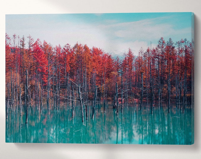 Red Trees Blue Pond Reflection Hokkaido Japan Wall Art