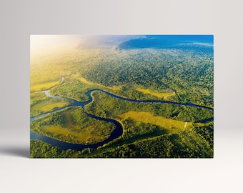 Manaus Amazon Rainforest Aerial View PETA Approved Eco Leather Canvas Multi Panel Art Frame