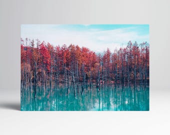 Red Trees Blue Pond Reflection Hokkaido Japan Eco Leather Wall Art Frame