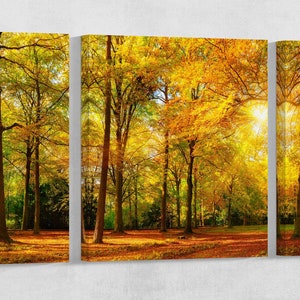 Autumn forest Leather Print/Extra Large Print/Multi Panel Print/Nature Print/Better than Canvas!