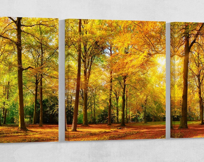 Autumn forest Leather Print/Extra Large Print/Multi Panel Print/Nature Print/Better than Canvas!