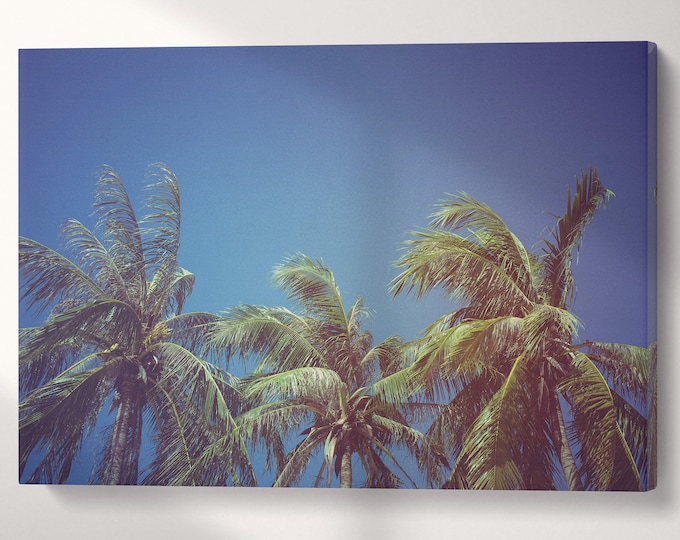 Leaves of Coconut Vintage Filter Tropical Wall Art Canvas Eco Leather Print, Made in Italy!