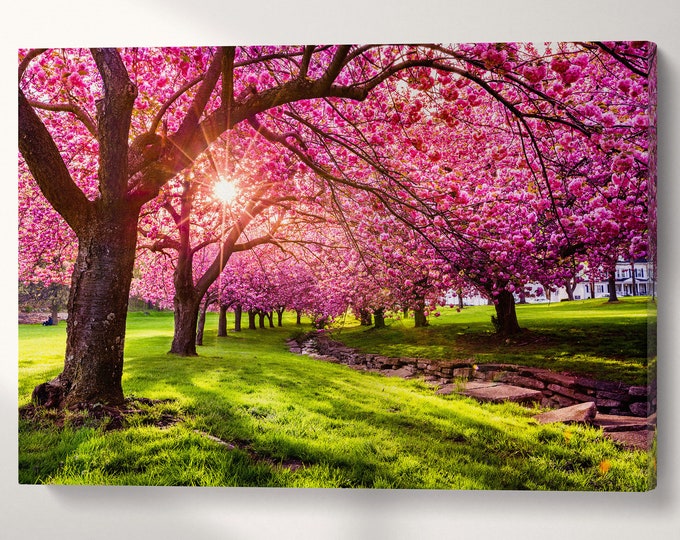 Cherry Tree Blossom Canvas Eco Leather Print, Made in Italy!