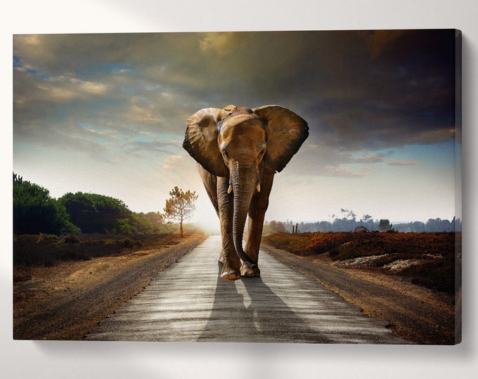 Wild Elephant Walking Wall Art Canvas Eco Leather Print, Made in Italy!