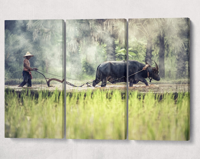 Water Buffalo farming in Cambodia canvas eco leather print