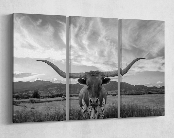 3 Panel Texas Longhorn Steer Black and White Framed Canvas Leather Print