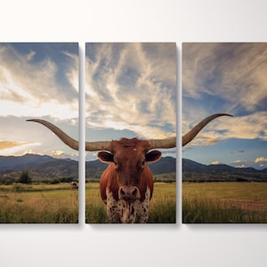 Texas Longhorn Steer Vegan Leather Canvas Print 3 Panel Wall Art Cowboy Gift