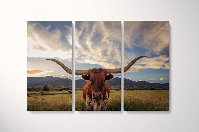 Texas Longhorn Steer Vegan Leather Canvas Print 3 Panel Wall Art Cowboy Gift