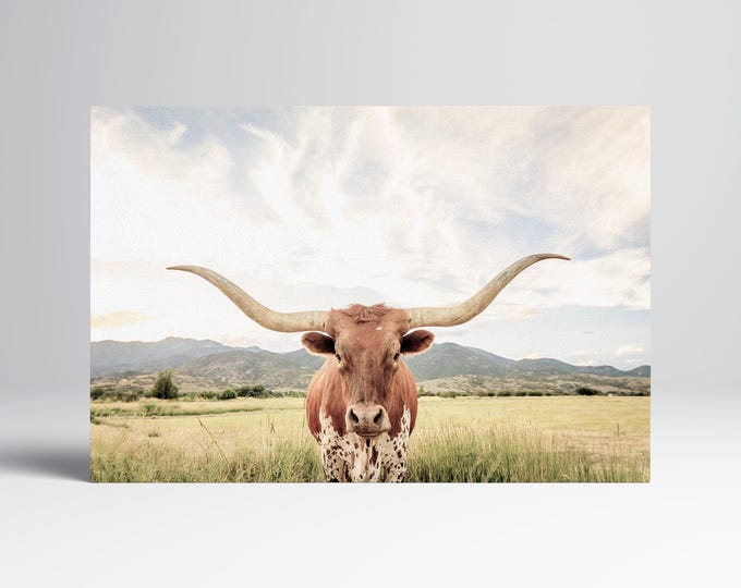 Texas Longhorn Steer Framed Canvas Eco Leather Print, Made in Italy!
