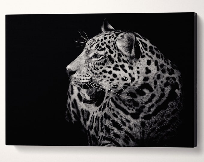 Close Up Black and White Jaguar Leather Print/Black and White Print/Large Wall Art/Large Wall Decor/Made in Italy/Better than Canvas!
