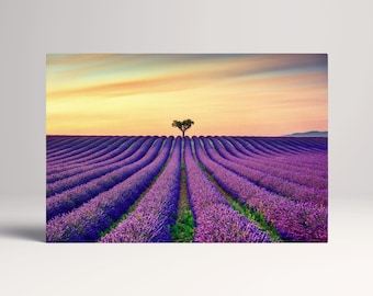 Lavender Provence France PETA Approved Eco Leather Canvas Triptych or Single Wall Art