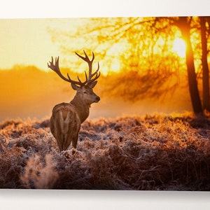 Wild Deer Leather Print/Multi Panel Print/Multi Pieces Print/Extra Large Print/Wall Art/Wild Animals/Better than Canvas!